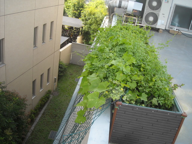 調布京電2