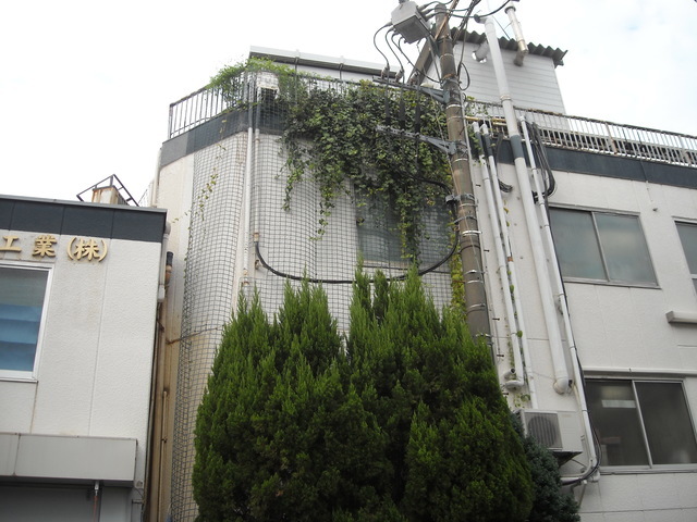 調布京電1